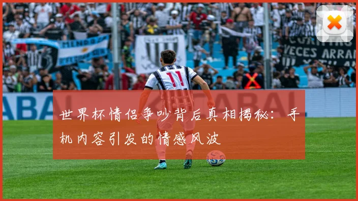 世界杯情侣争吵背后真相揭秘：手机内容引发的情感风波